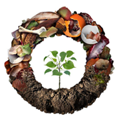 Composting: Grow Your Garden and a Greener Future