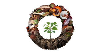 Composting: Grow Your Garden and a Greener Future