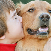 pet waste bags