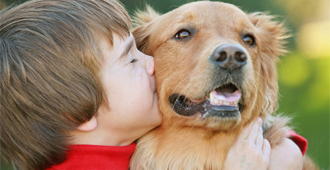 pet waste bags