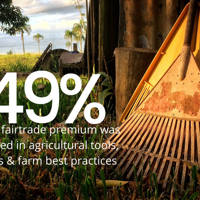 Fairtrade cotton impact report