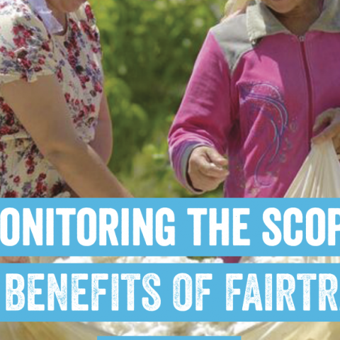 Fairtrade Cotton Monitoring Report – 10th edition