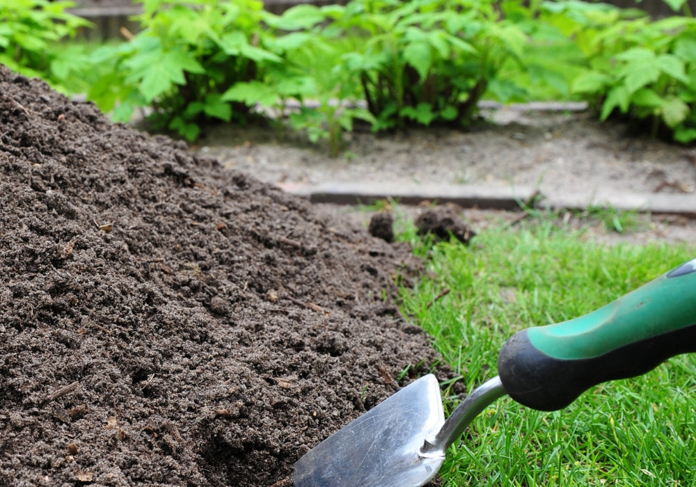 Your quick and dirty guide to composting