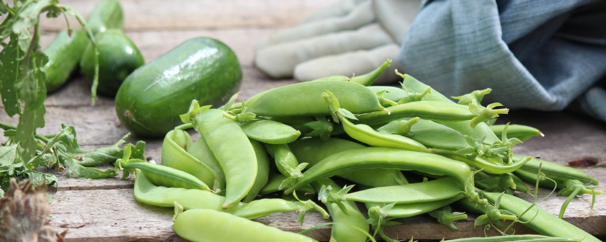 Healthy garden, healthy you.
