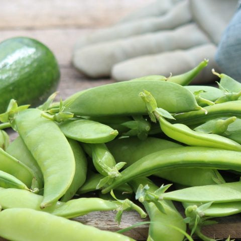 Healthy garden, healthy you.