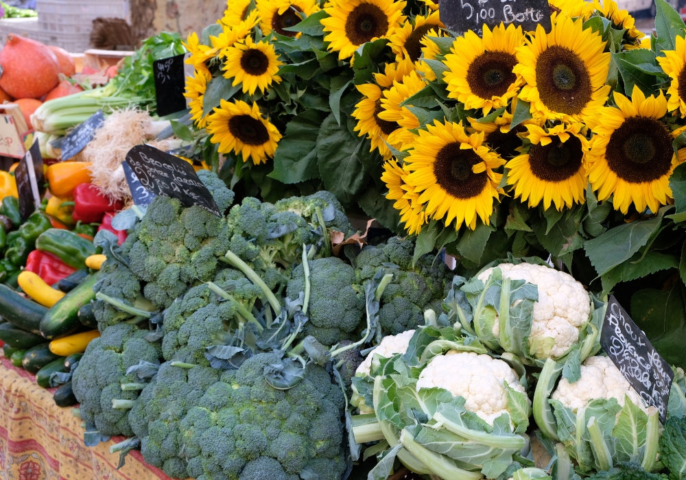 Embracing Plastic-Free July: 10 Easy Ways to Reduce Your Plastic Waste