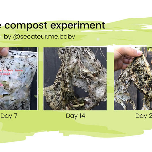 Break down of corn-starch bags