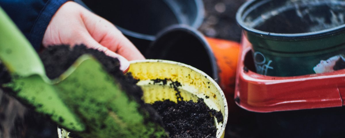 Your simple guide to backyard composting