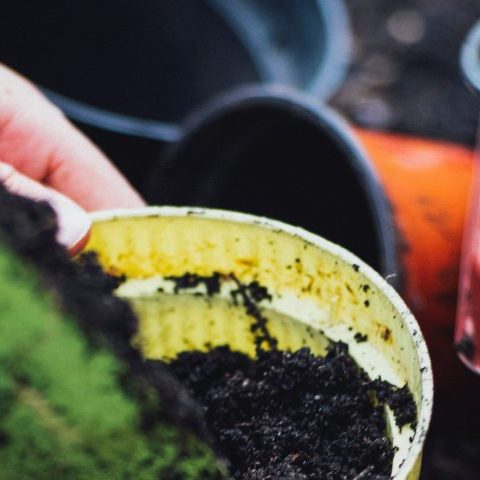 Your simple guide to backyard composting