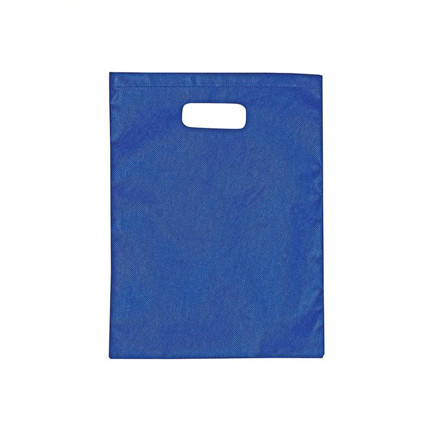 ENW-444 Set of 10x Non-Woven Gift Bags