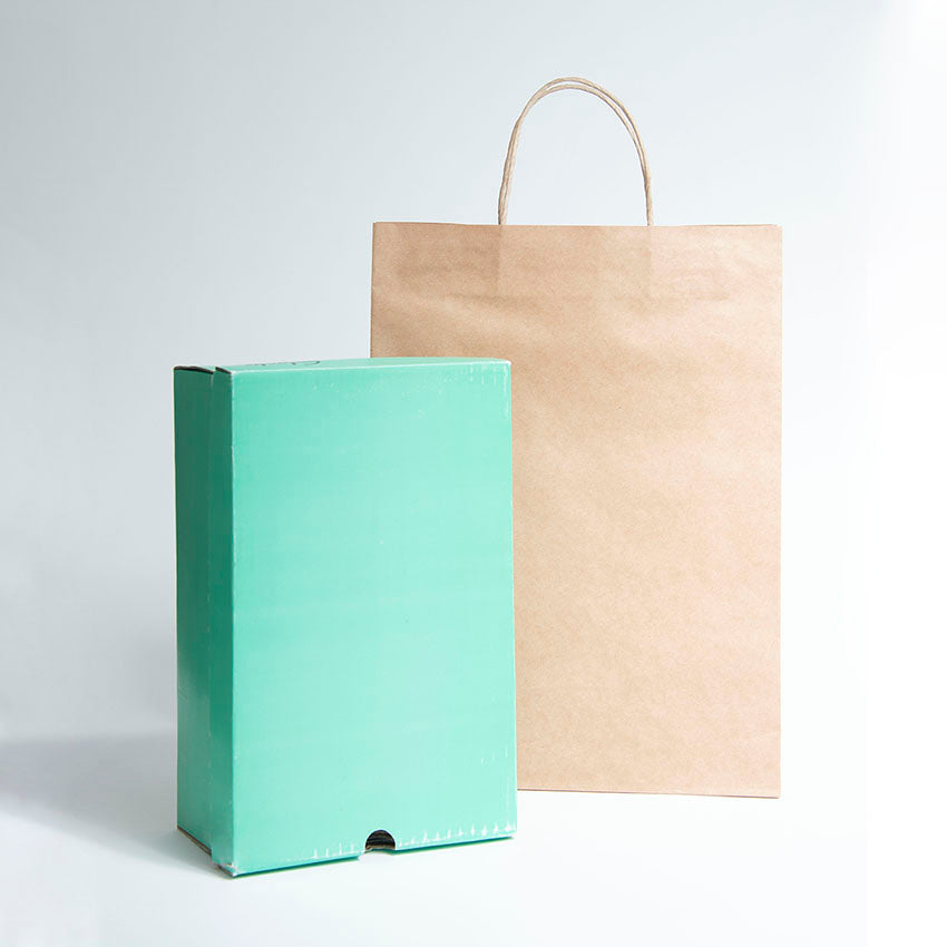 Ecopack Large Twisted Handle Paper Bags (1 Pack/25 Bags)