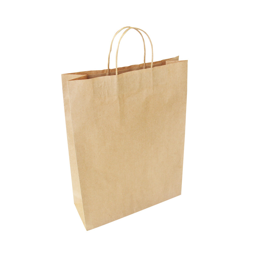 Ecopack Large Twisted Handle Paper Bags (1 Pack/25 Bags)