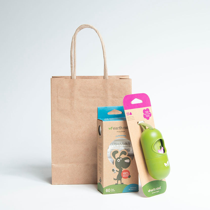 Ecopack Small/Accessory Twisted Handle Paper Bags (1 Pack/25 Bags)