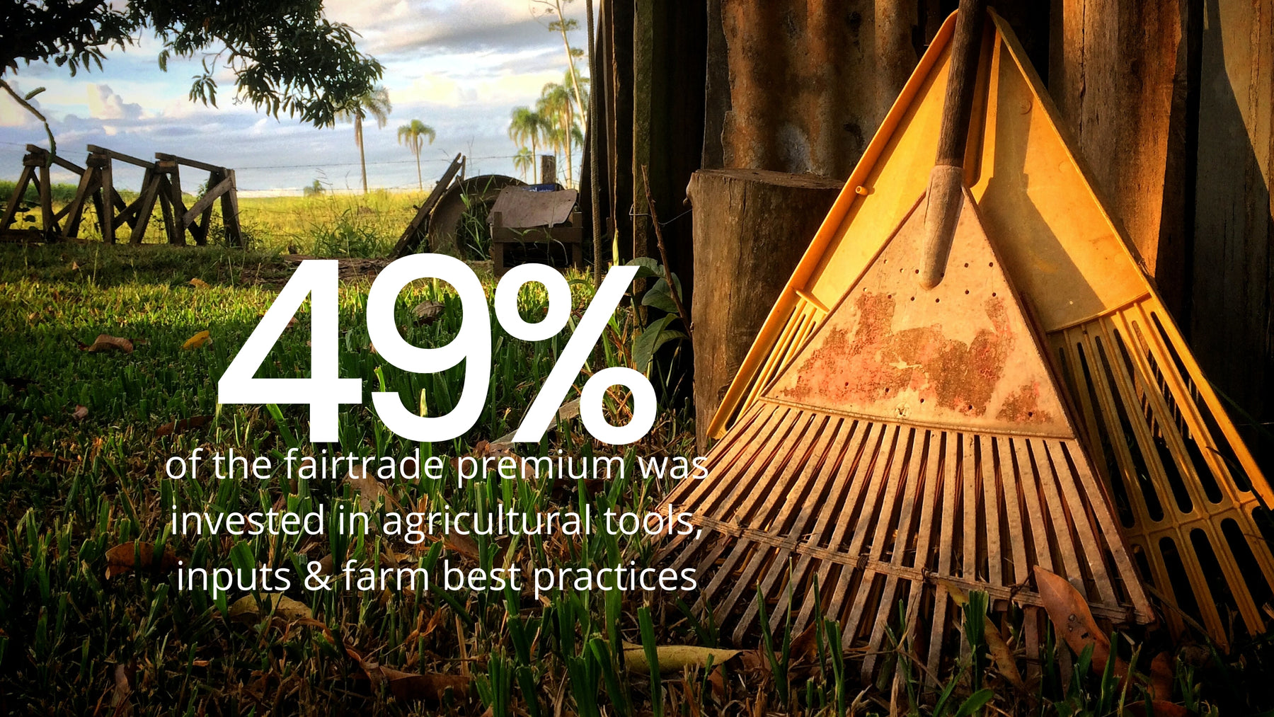 Fairtrade cotton impact report