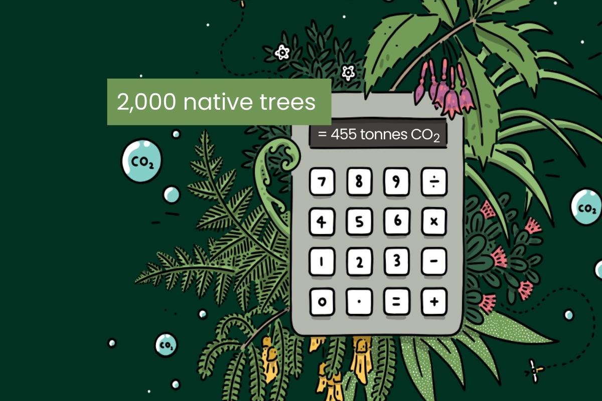 Backing our native trees for the fourth year running