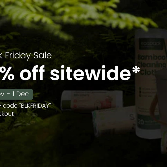 Black Friday Sale: Everything you need to know