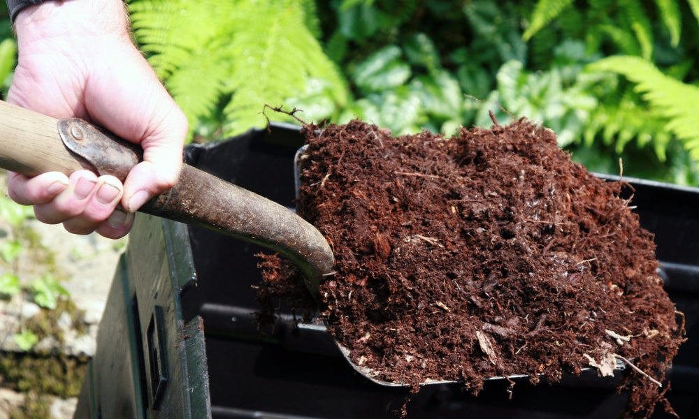 Compost Awareness Week: Turn waste into wonder!