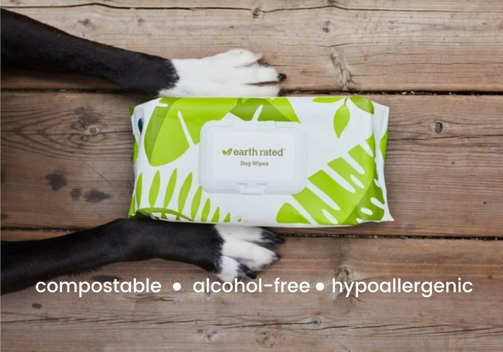 New pet grooming wipes - right in time for winter