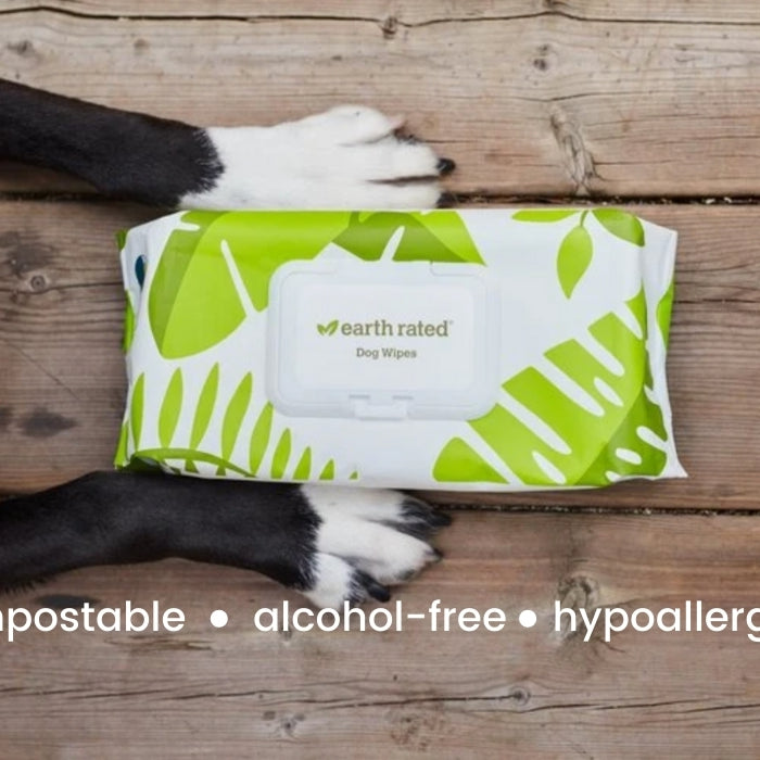 New pet grooming wipes - right in time for winter