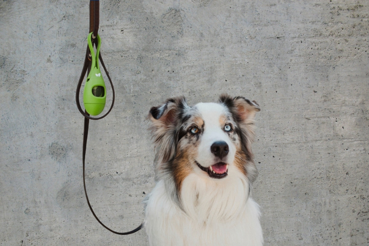 New poop bag dispenser – what’s the difference?