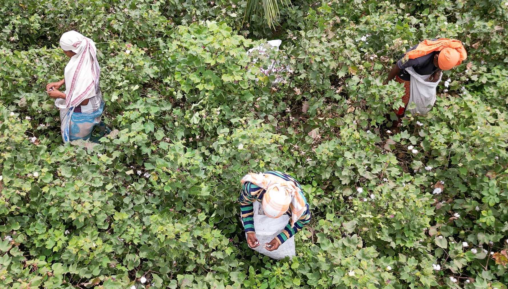 Fairtrade Cotton Impact Report 2025