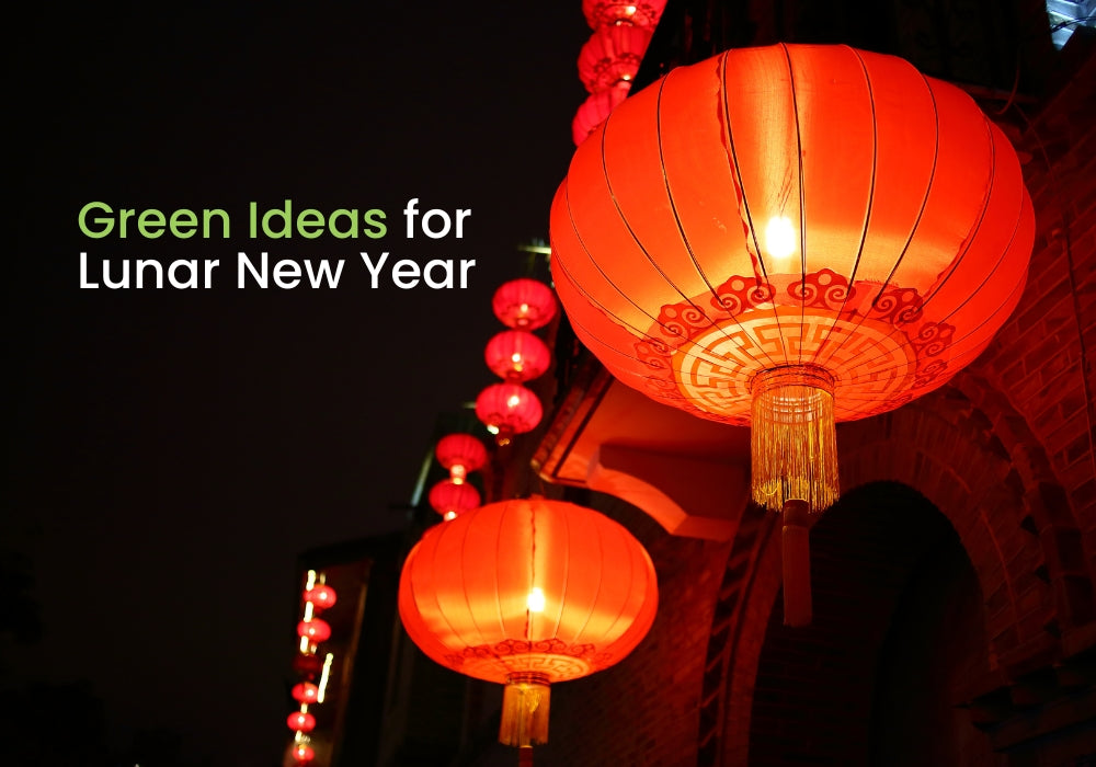 6 Green Ideas for Lunar New Year
