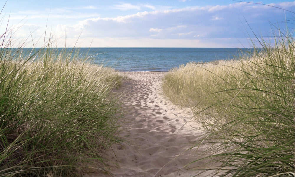 Summer holiday hours