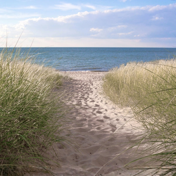 Summer holiday hours