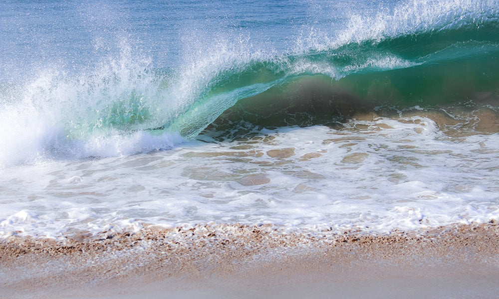 Get ready to celebrate Seaweek (1–9 March 2025) with us!