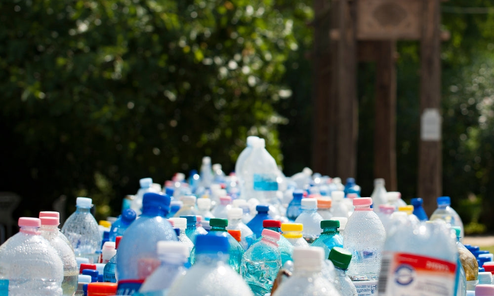 Together, we’re making an impact! How much plastic have we saved this year?