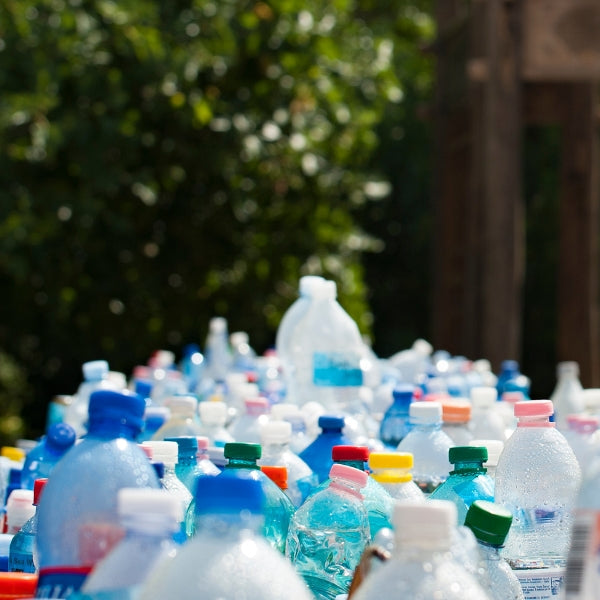 Together, we’re making an impact! How much plastic have we saved this year?