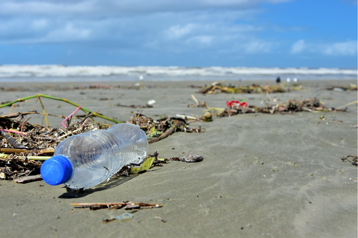 The ocean plastic problem