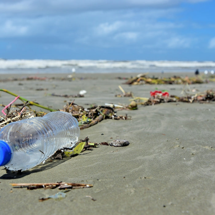 The ocean plastic problem