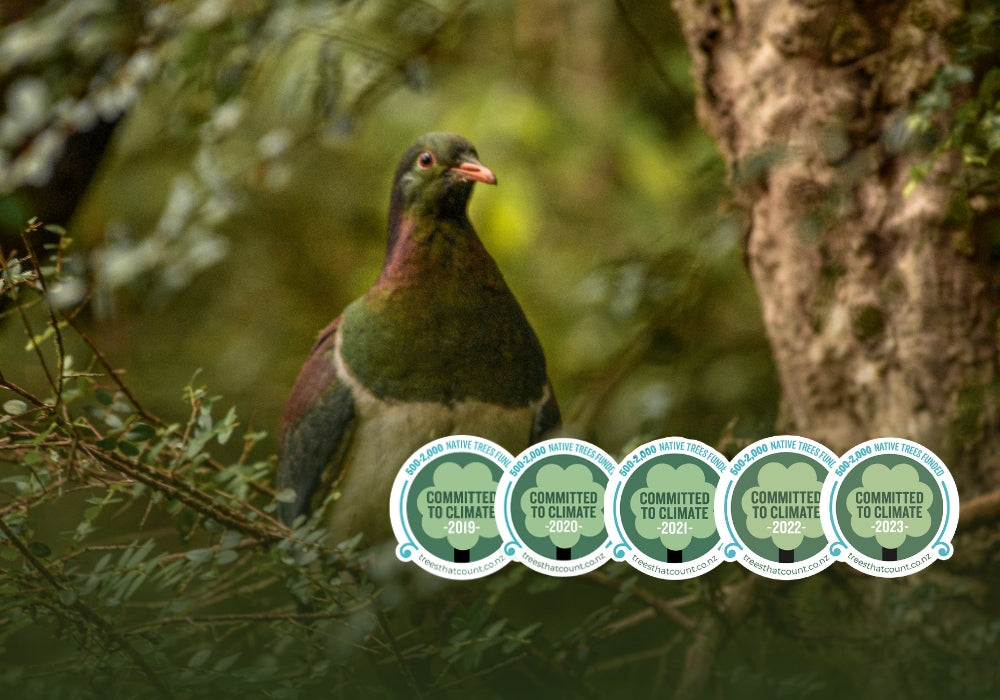 Funding native trees for the fifth year running