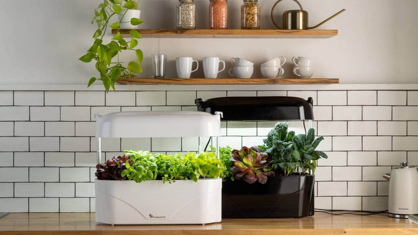Eco-friendly home hacks
