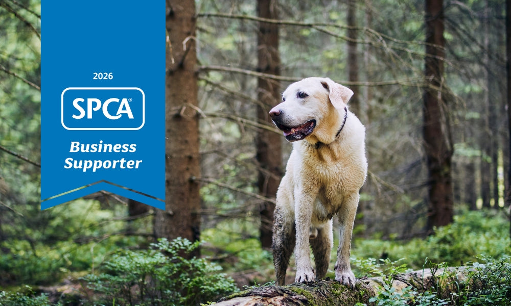 Proud supporters of the SPCA this summer