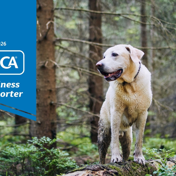 Proud supporters of the SPCA this summer