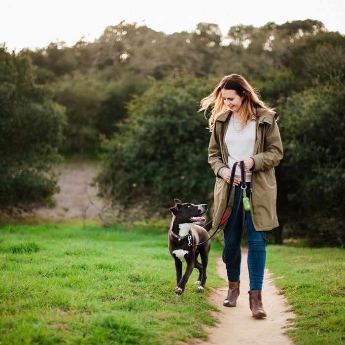 Build your own backyard dog poop composter