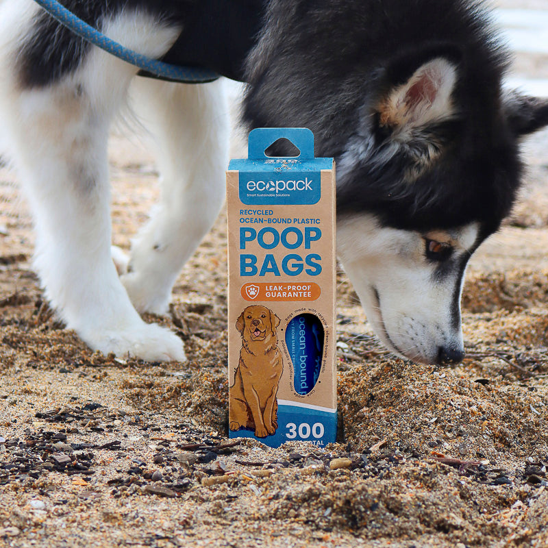 Ecopack Recycled Plastic Dog Poop Bags (Dispenser Box) — Ecobags NZ
