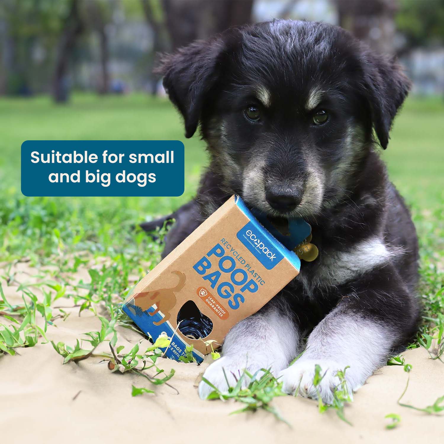 Recycled Plastic Dog Poop Bags suitable for small and big dogs
