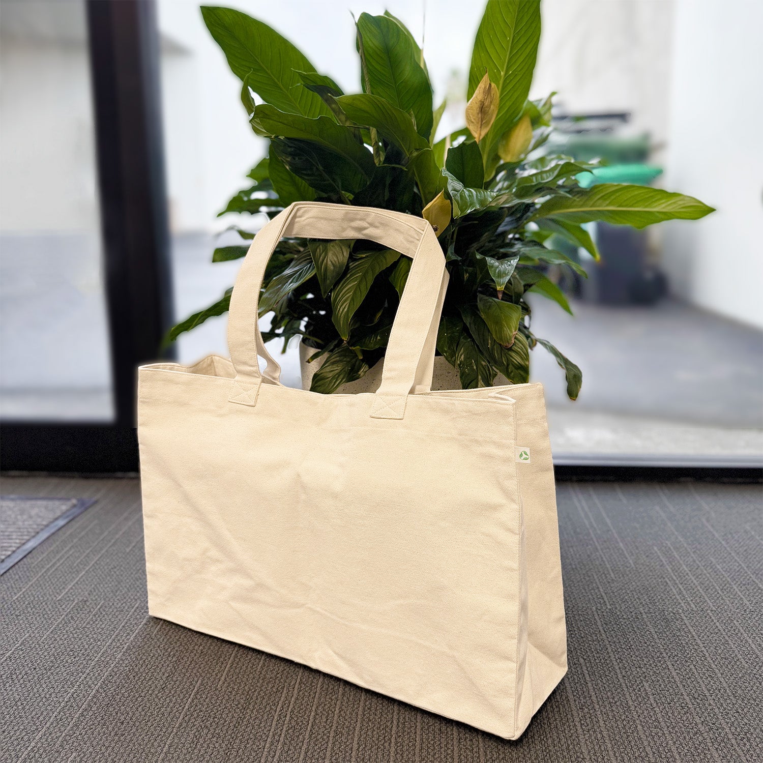 Canvas Beach Bag next to plant