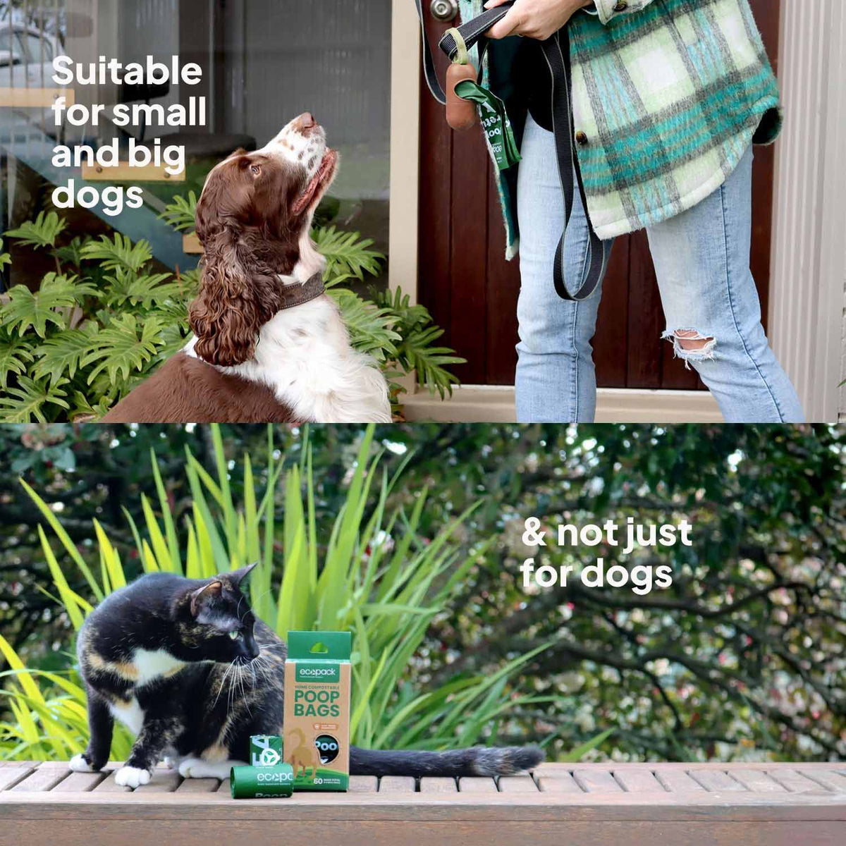 Ecopack Compostable Dog Poop Bags For All Furry Friends