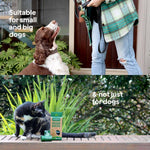 Ecopack Compostable Dog Poop Bags For All Furry Friends