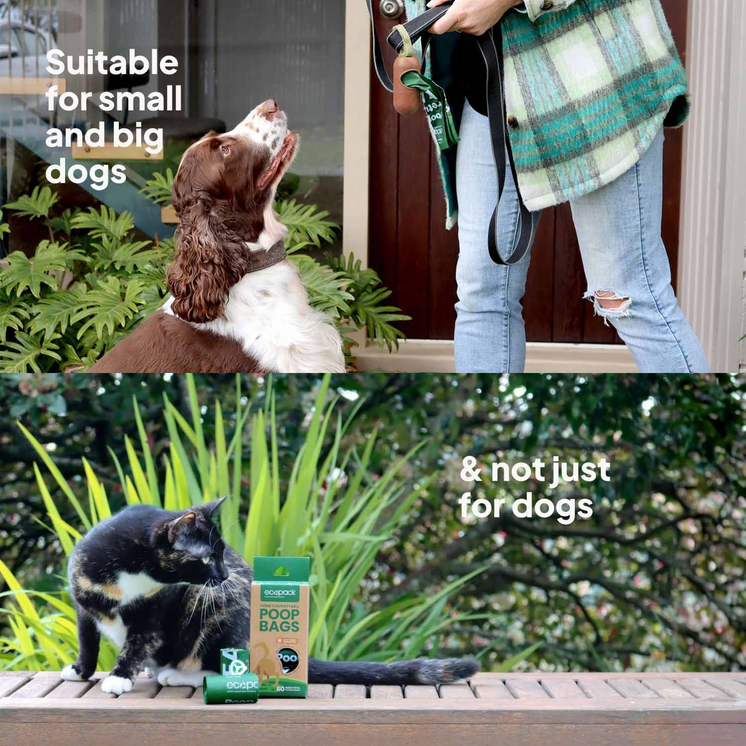 Ecopack Compostable Dog Poop Bags For All Furry Friends
