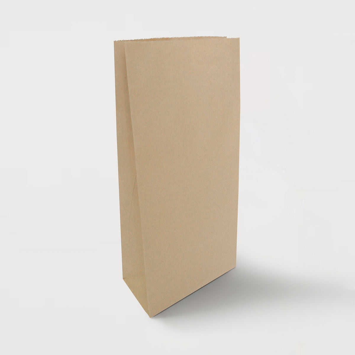 Ecopack Large Lightweight Paper Bags