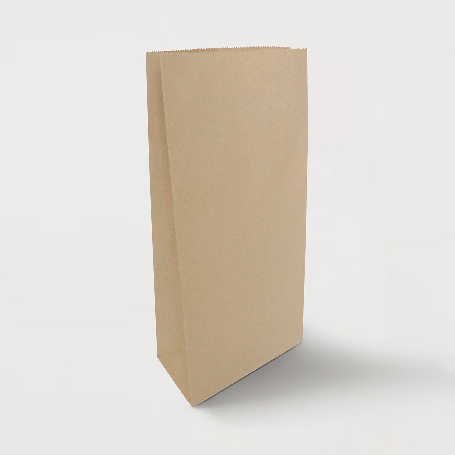 Ecopack Large Lightweight Paper Bags