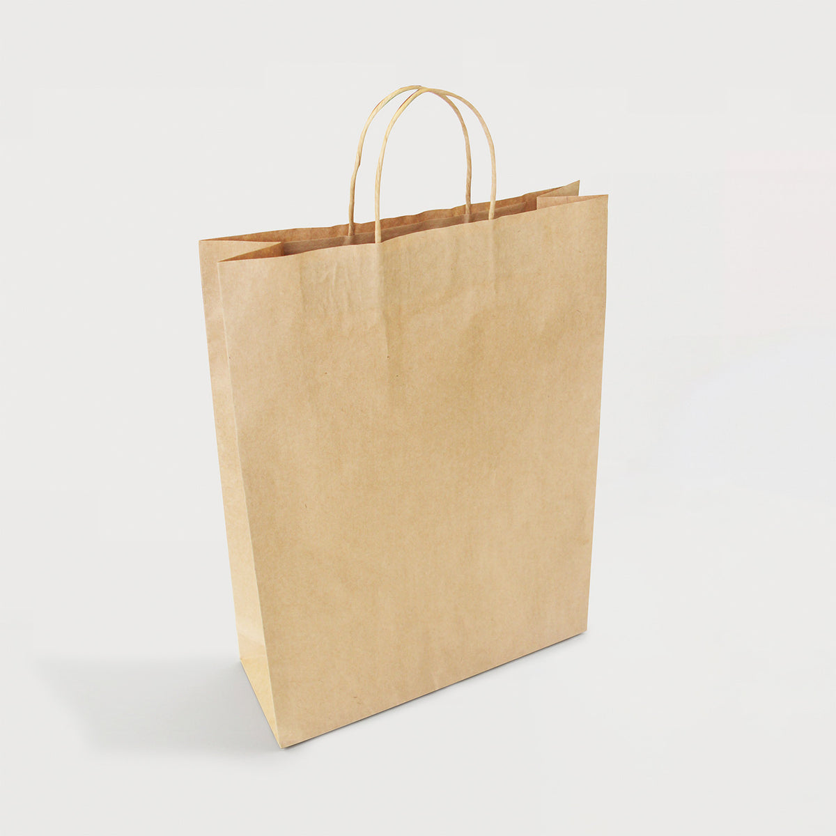 Ecopack Large Twisted Handle Paper Bag Side View