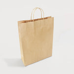 Ecopack Large Twisted Handle Paper Bag Side View