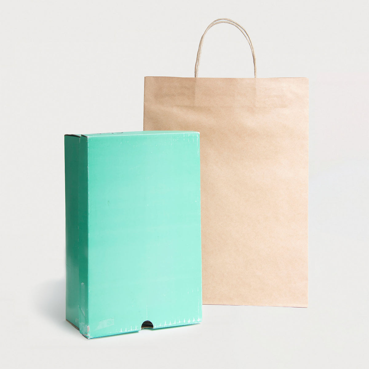 Ecopack Large Twisted Handle Paper Bag next to products