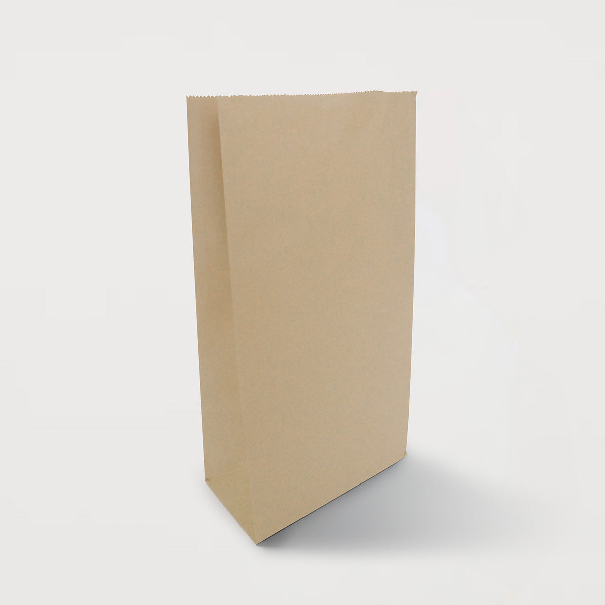 Ecopack Medium Lightweight Paper Bags